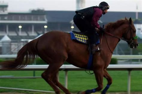 The five fastest Belmont Stakes winners .